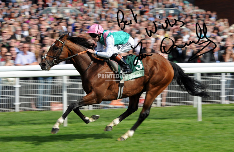 Tom Queally riding Frankel with printed autograph – horse racing memorabilia
