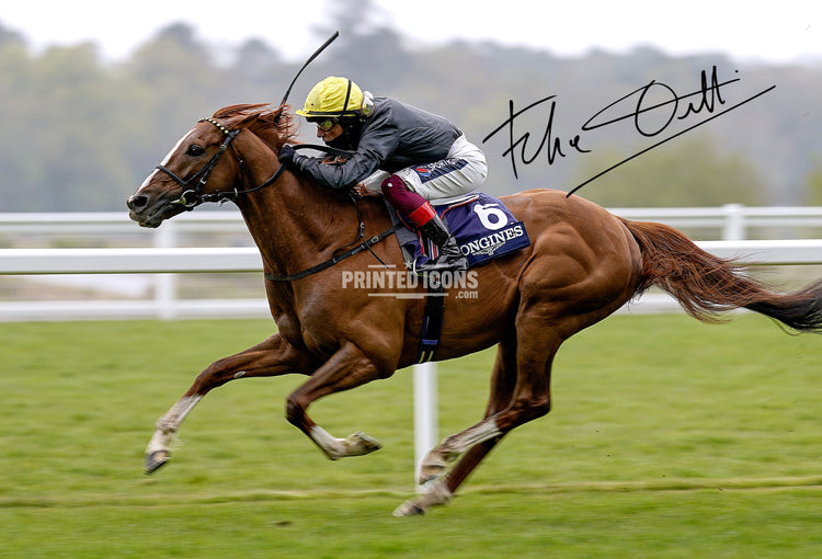Frankie Dettori flat horse racing signed memorabilia and jockey photo print
