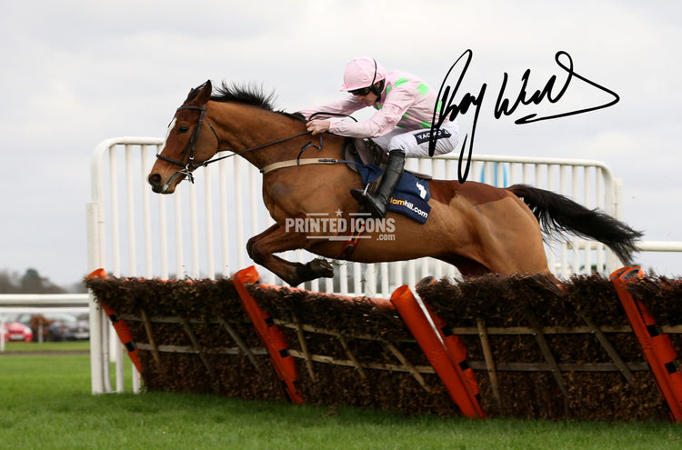 Cheltenham Festival horse racing signed memorabilia and jockey print