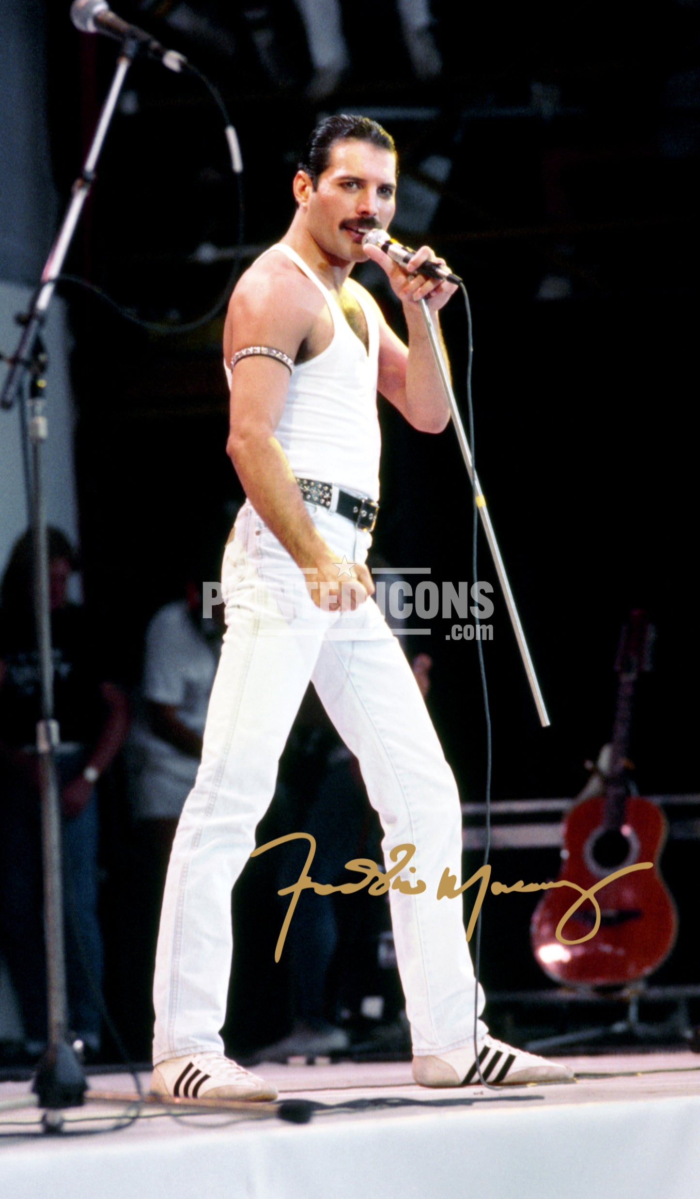 Freddie Mercury Signed Print Photo Queen Autograph