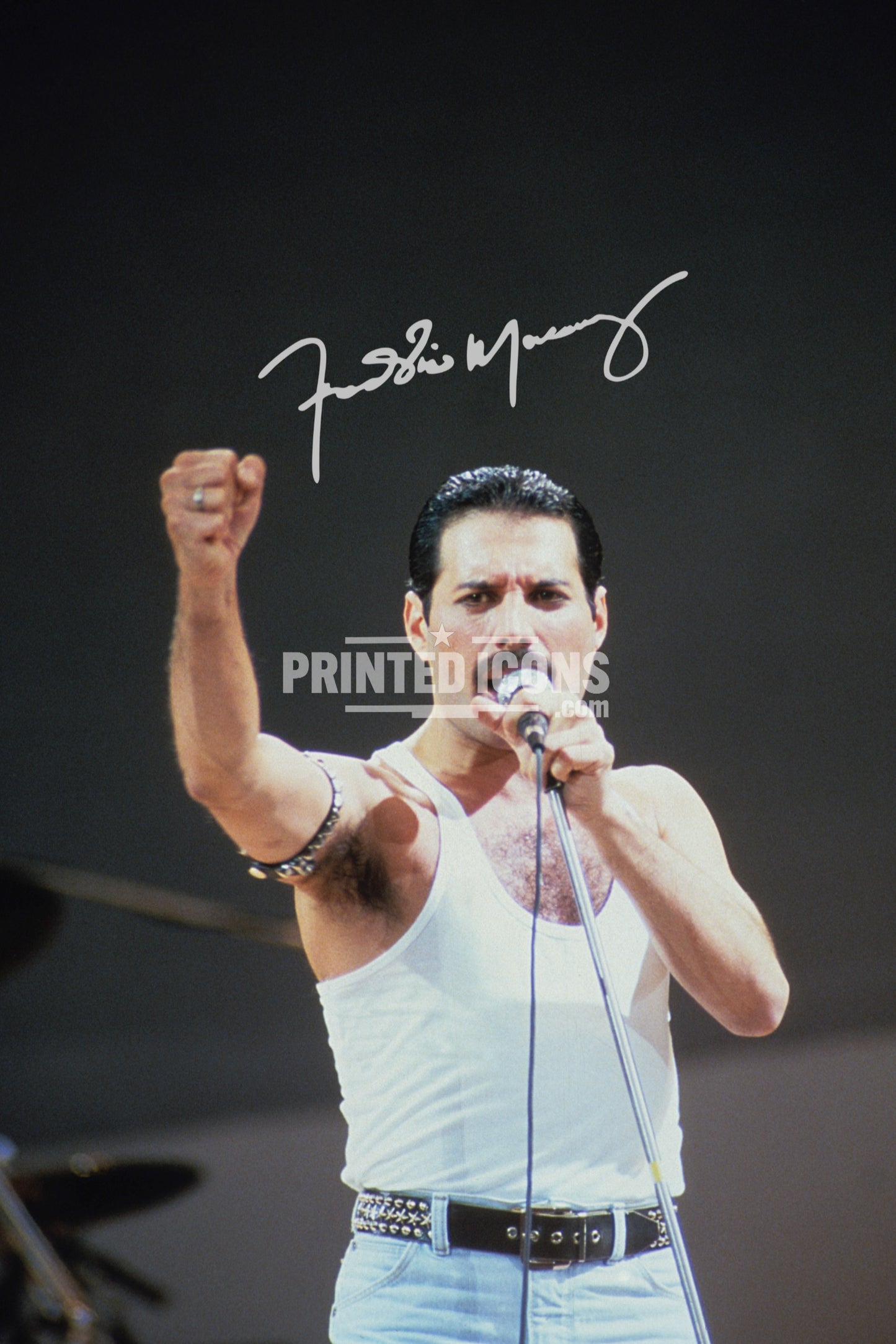 Freddie Mercury Signed Print Photo Queen Autograph Live Aid