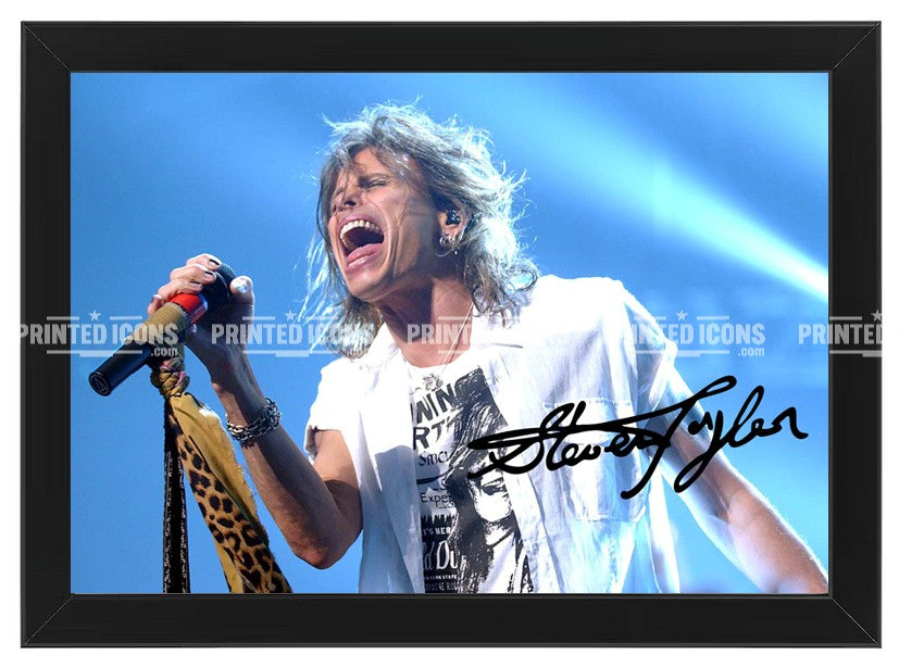 Steven Tyler Aerosmith rock memorabilia print displayed in black frame
